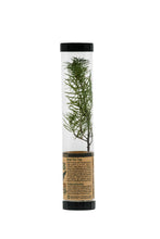 Load image into Gallery viewer, Douglas-Fir | Packaged Live Tree