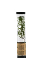 Load image into Gallery viewer, Douglas-Fir | Packaged Live Tree
