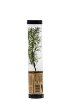Load image into Gallery viewer, Douglas-Fir | Packaged Live Tree