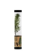 Load image into Gallery viewer, Douglas-Fir | Packaged Live Tree
