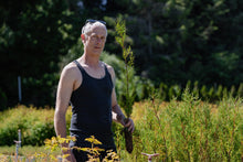 Load image into Gallery viewer, Flash Sale: Tall Tree Seedlings