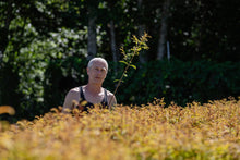 Load image into Gallery viewer, Flash Sale: Tall Tree Seedlings