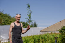 Load image into Gallery viewer, Flash Sale: Tall Tree Seedlings