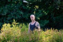 Load image into Gallery viewer, Flash Sale: Tall Tree Seedlings