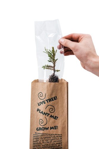 Kraft Bag Seedlings | The Jonsteen Company