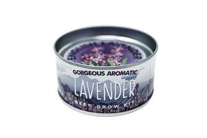 lavender planting kit The Jonsteen Company - Lavender