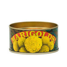 Load image into Gallery viewer, Marigold | Flower Seed Grow Kit | The Jonsteen Company