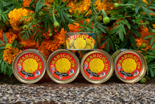 Load image into Gallery viewer, Marigold | Flower Seed Grow Kit | The Jonsteen Company