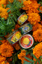 Load image into Gallery viewer, Marigold | Flower Seed Grow Kit