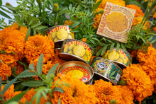 Load image into Gallery viewer, Marigold | Flower Seed Grow Kit | The Jonsteen Company