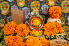 Load image into Gallery viewer, Marigold | Flower Seed Grow Kit | The Jonsteen Company