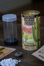 Load image into Gallery viewer, Saguaro Cactus | Seed Grow Kit | The Jonsteen Company