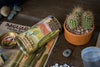 Saguaro Cactus | Seed Grow Kit | The Jonsteen Company