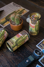 Load image into Gallery viewer, Saguaro Cactus | Seed Grow Kit | The Jonsteen Company