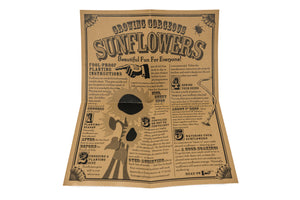 instructions for planting sunflower seeds Sunflower