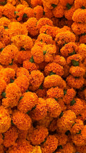 Load image into Gallery viewer, Marigold | The Jonsteen Company
