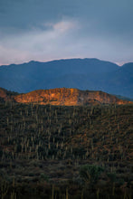 Load image into Gallery viewer, Saguaro Cactus | The Jonsteen Company