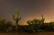 Load image into Gallery viewer, Saguaro Cactus | The Jonsteen Company