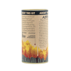 Quaking Aspen | Seed Grow Kit | The Jonsteen Company