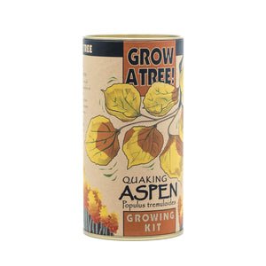 Quaking Aspen | Seed Grow Kit | The Jonsteen Company