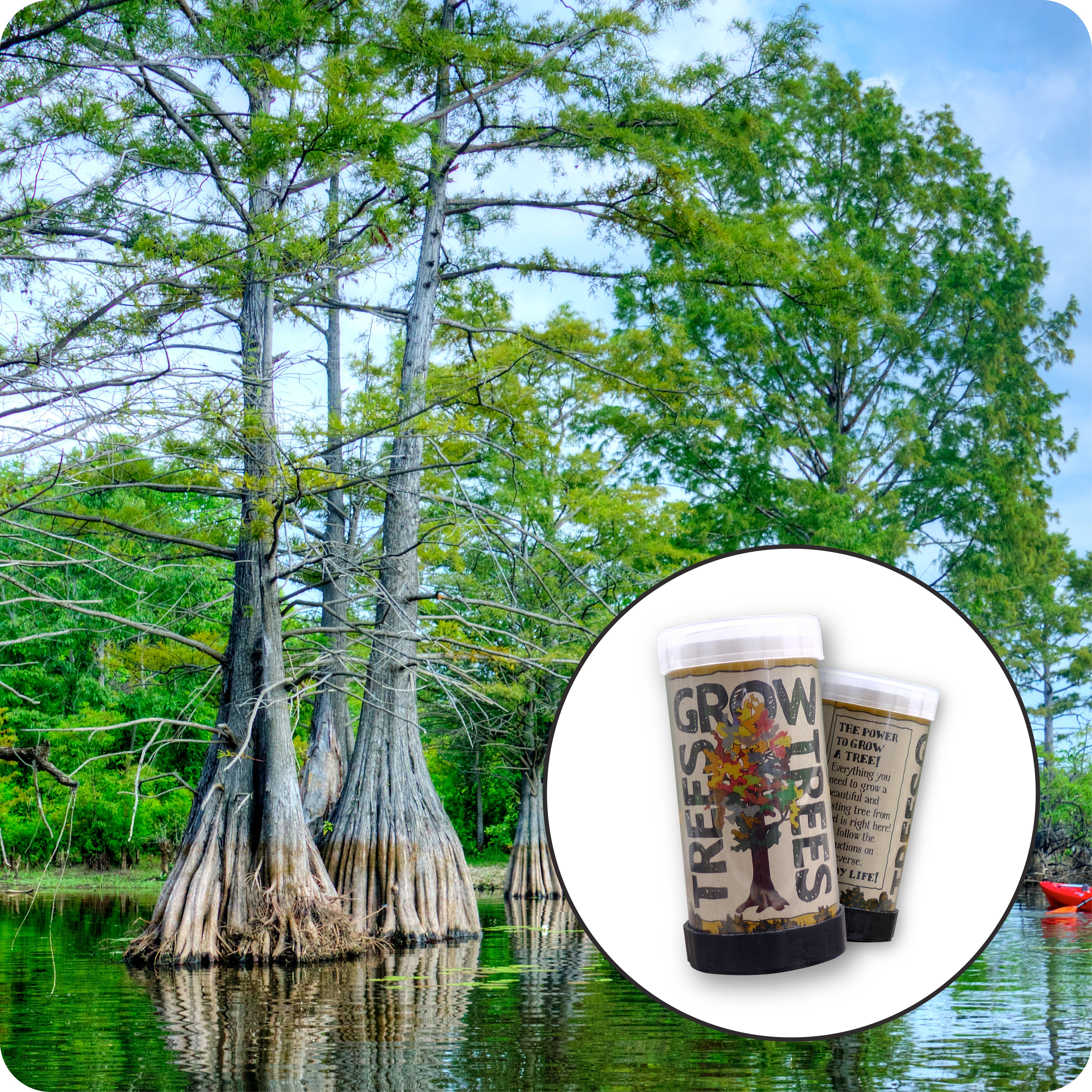 Baldcypress | Mini-Grow Kit – The Jonsteen Company