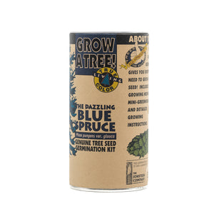 Colorado Blue Spruce | Seed Grow Kit | The Jonsteen Company