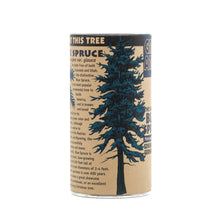 Load image into Gallery viewer, Colorado Blue Spruce | Seed Grow Kit | The Jonsteen Company