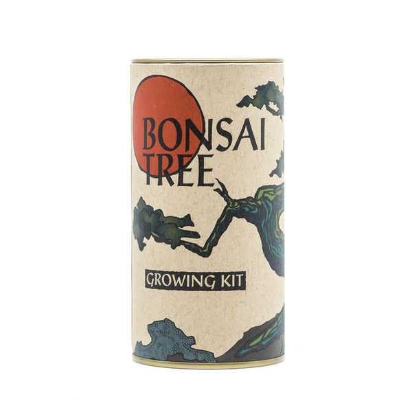 Bonsai Tree | Seed Grow Kit | The Jonsteen Company