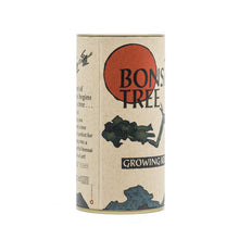 Load image into Gallery viewer, Bonsai Tree | Seed Grow Kit | The Jonsteen Company