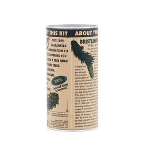 Ancient Bristlecone Pine | Seed Grow Kit | The Jonsteen Company