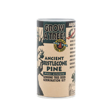 Load image into Gallery viewer, Ancient Bristlecone Pine | Seed Grow Kit | The Jonsteen Company