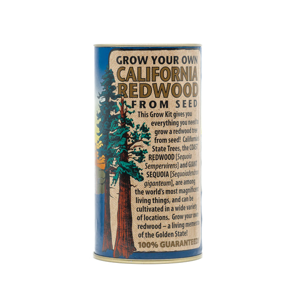 planting redwood seeds Jonsteen 5701 California Redwood Grow Kit, Coast Redwood