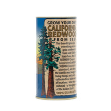 Load image into Gallery viewer, California Redwood | Giant Sequoia | Seed Grow Kit | The Jonsteen Company