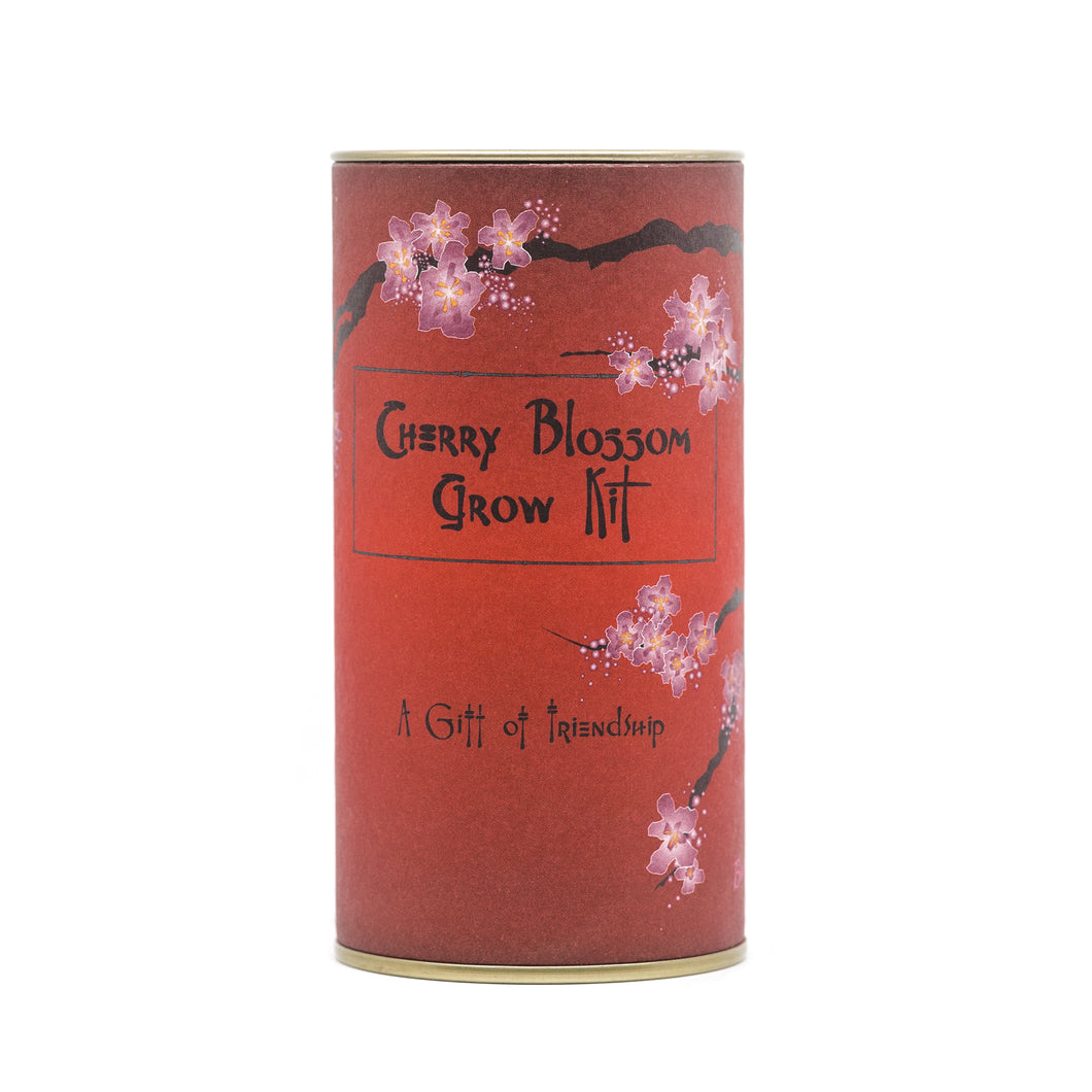 Grow Your Own Cherry Blossom Bonsai Tree With This Kit From