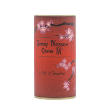Load image into Gallery viewer, Japanese Flowering Cherry Blossom | Seed Grow Kit | The Jonsteen Company
