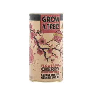 Flowering Cherry Blossom | Parks Collection | Seed Grow Kit | The Jonsteen Company