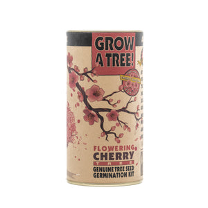 planting cherry blossom seeds Flowering Cherry Blossom