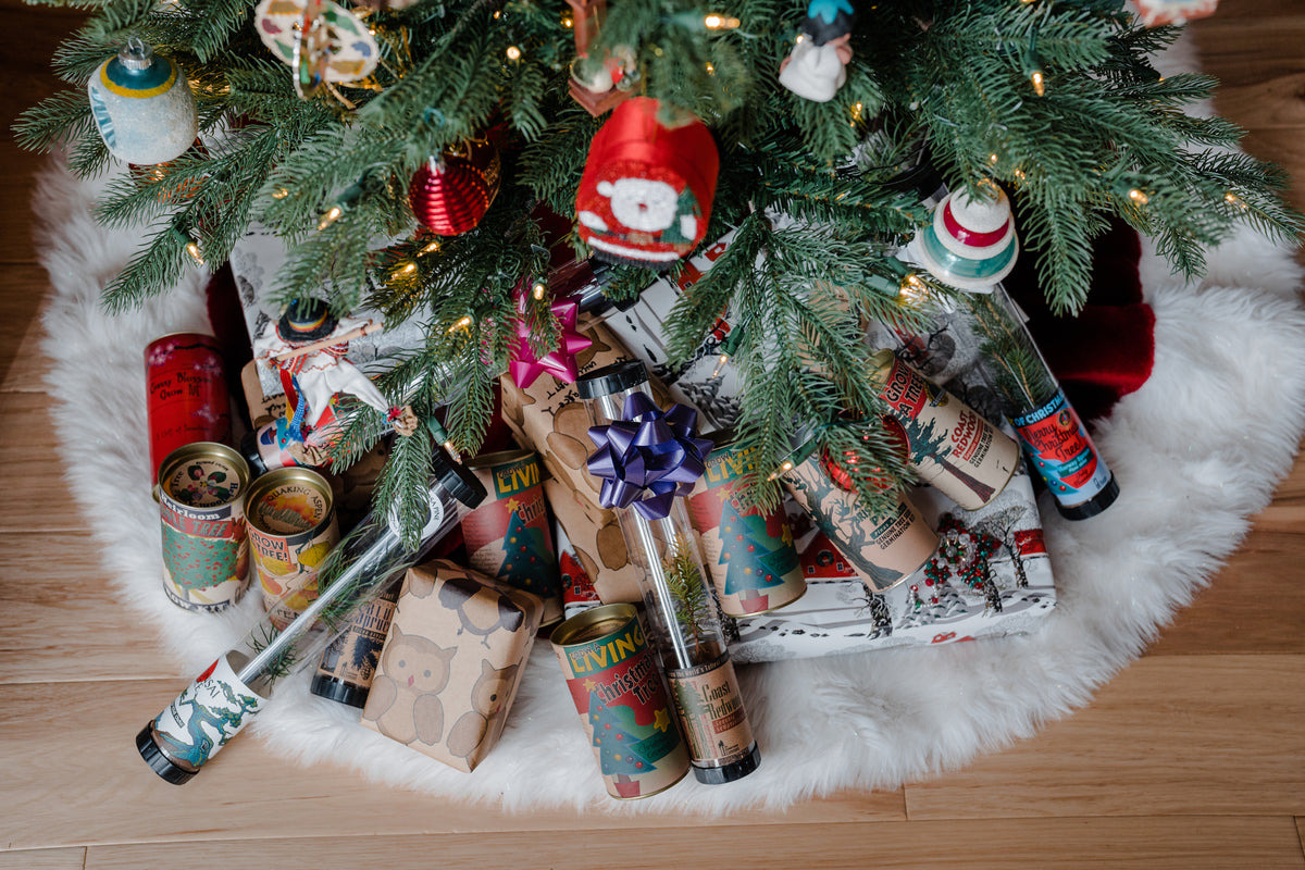 Christmas Tree Seed Grow Kit The Jonsteen Company