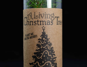Living Christmas Tree | Balsam Fir | The Jonsteen Company
