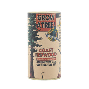 planting redwood seeds The Jonsteen Company Coast Redwood Grow Kit