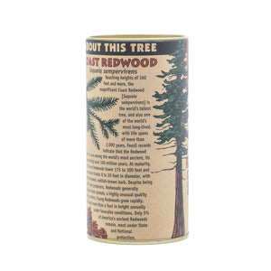 Coast Redwood | Seed Grow Kit | The Jonsteen Company