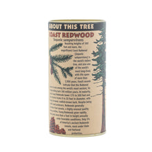 Load image into Gallery viewer, Coast Redwood | Seed Grow Kit | The Jonsteen Company