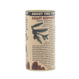 Coast Redwood | Seed Grow Kit | The Jonsteen Company