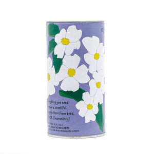 Flowering Dogwood | Seed Grow Kit | The Jonsteen Company
