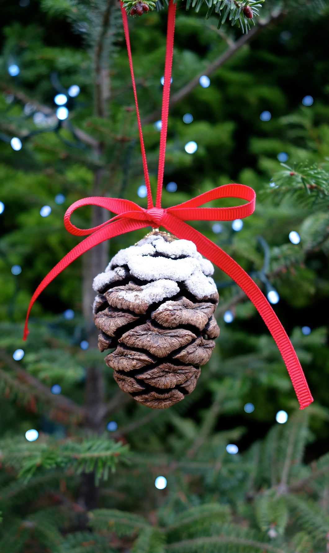 Old Growth Giant Sequoia Cone Ornament | The Jonsteen Company