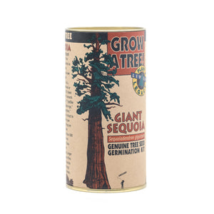 Giant Sequoia | Seed Grow Kit | The Jonsteen Company