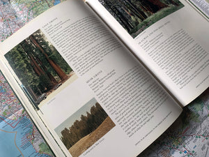 A Guide to the Sequoia Groves of California | Dwight Willard | The Jonsteen Company