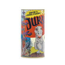 Load image into Gallery viewer, Jurassic Tree | Ginkgo biloba | Seed Grow Kit | The Jonsteen Company