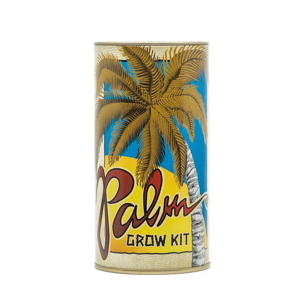 planting a palm tree seed Palm Tree