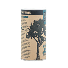 Load image into Gallery viewer, Piñon Pine | Seed Grow Kit | The Jonsteen Company